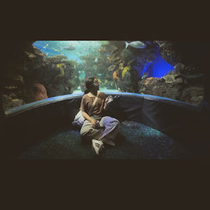 Meet your Posher, Shé lì